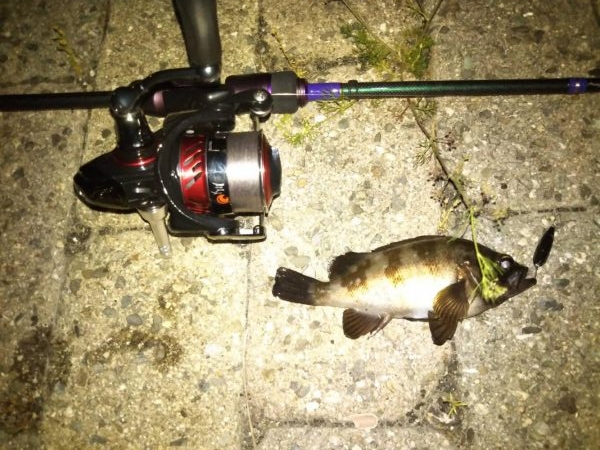 ルアー釣りとしか言えません。