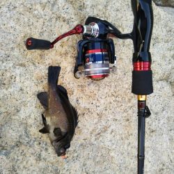 デイメバリング