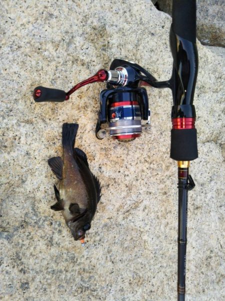 デイメバリング