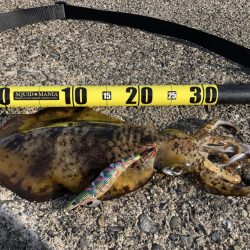 久々に出逢えました!