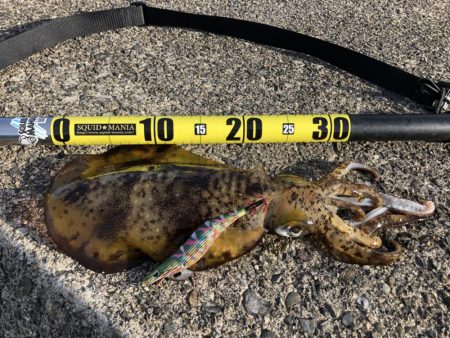 久々に出逢えました！