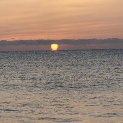 ヒラメ釣ってオーセイ！2