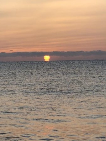 ヒラメ釣ってオーセイ！2