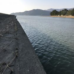 シーバス狙いで