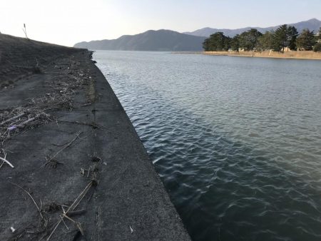 シーバス狙いで