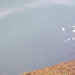 ガシラ釣り　～約一時間の短時間釣行～