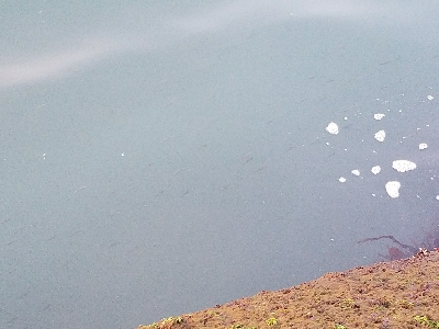 ガシラ釣り　～約一時間の短時間釣行～