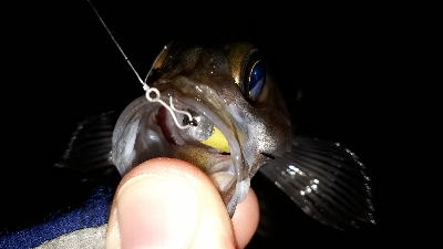 急に渋くなった・・・