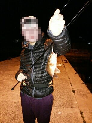 沼島遠征釣行その3