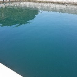 イワシ釣り ~ノマセは不発