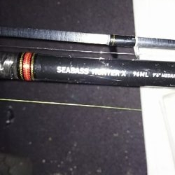 マニックシーズン到来♪