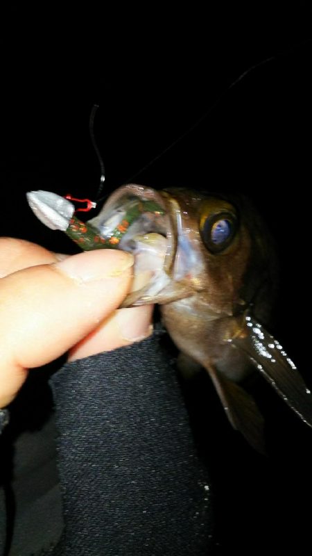 安定のポイントへ