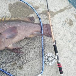 爆風の中の一匹