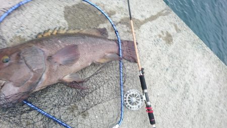 爆風の中の一匹