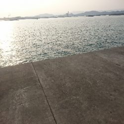 タチウオはまだ早いか？