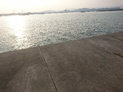 タチウオはまだ早いか？