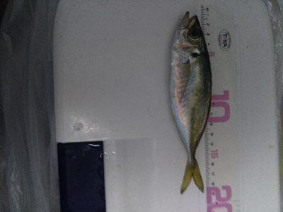 晴天だが暴風！