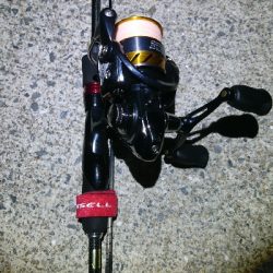 有田ランガン 2