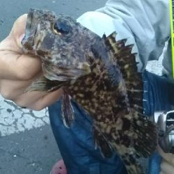 気候が良くなって来ました