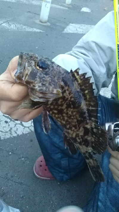 気候が良くなって来ました