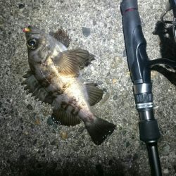 期待していたけど