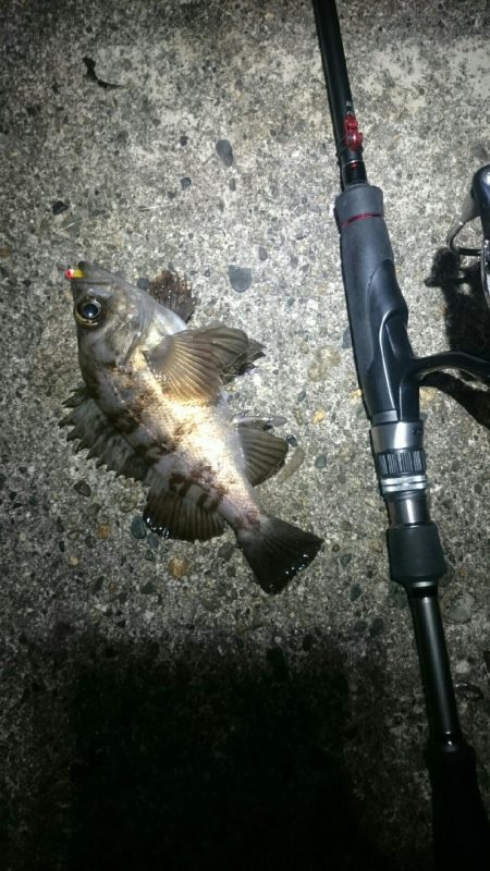 期待していたけど