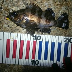 フロートメバリング