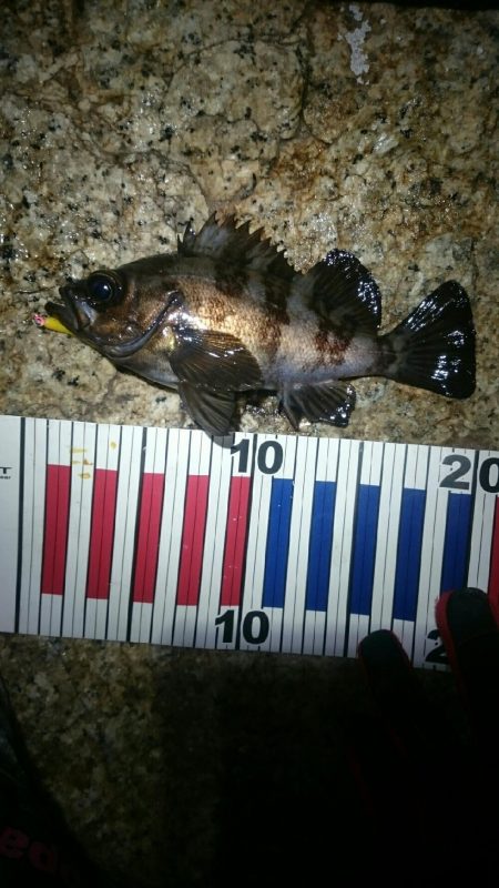 フロートメバリング