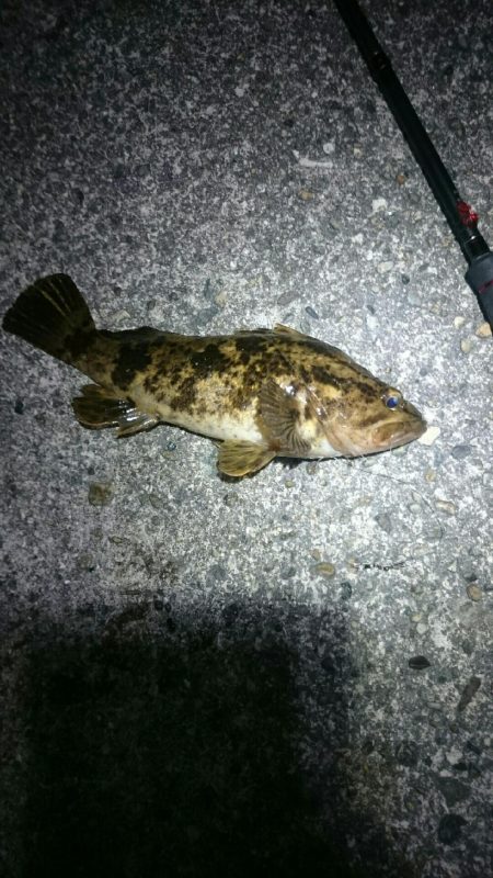 激渋メバリング