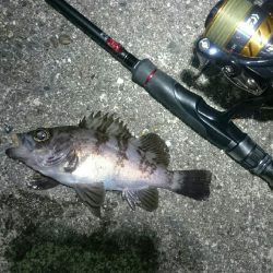 まだまだ寒い。