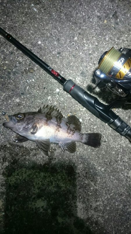 まだまだ寒い。