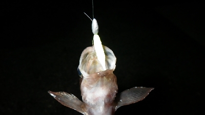 厳しかったけど、なんとかなったぁ！