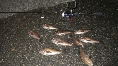 やっぱ、メバリング！