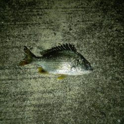 最後の最後に❗