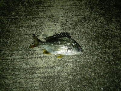 最後の最後に❗