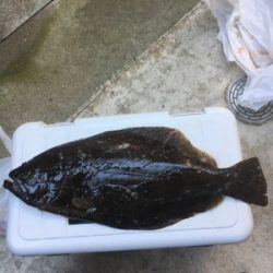 まさかのジグにヒット！