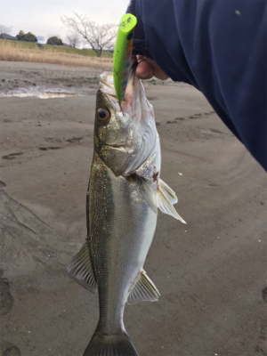 やっと1匹ε-(´∀｀; )