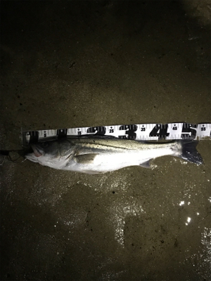 初ウェーディング