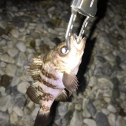 久しぶりの感触!