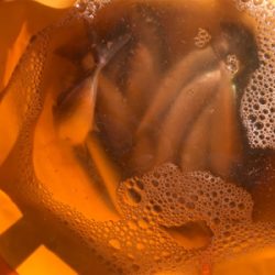 子供と一緒釣行