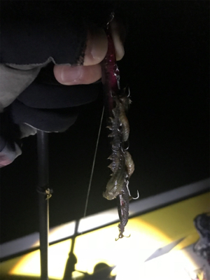 バチパターン 四日市天白川