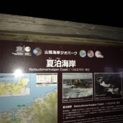 夏泊港 フカセ夜釣り 沈黙。。。