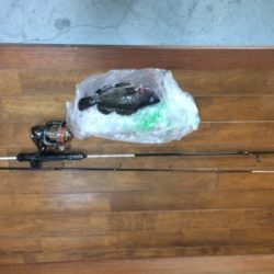 爆風のなか苦労して一匹