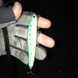 夕マズメから1時間ちょっと