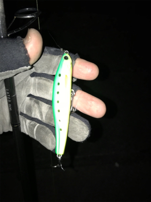 夕マズメから1時間ちょっと