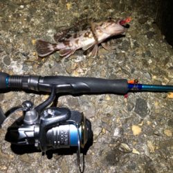 ガシリングナイトゲーム/ボラリングも