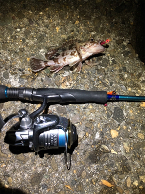 ガシリングナイトゲーム/ボラリングも