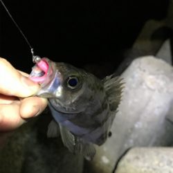 日が悪かった…