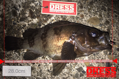 昨年のこの時期を再現できるか？