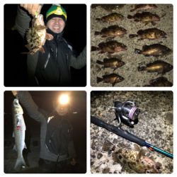 メバリング/ボラリング/ナイトゲーム☆